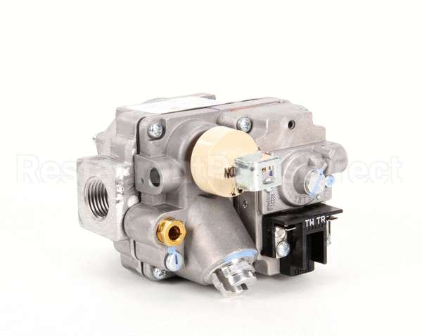 00-410841-00030 Vulcan Hart Valve,Combination,(Nat)