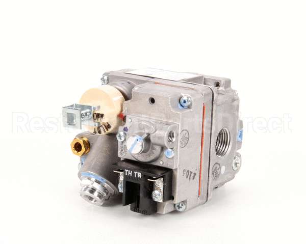 00-410841-00030 Vulcan Hart Valve,Combination,(Nat)