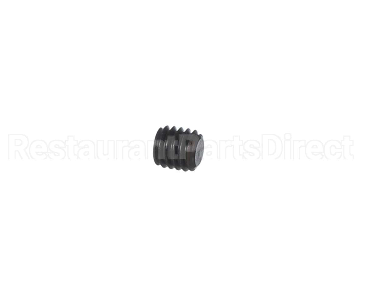 00-938005-00008 Berkel Screw
