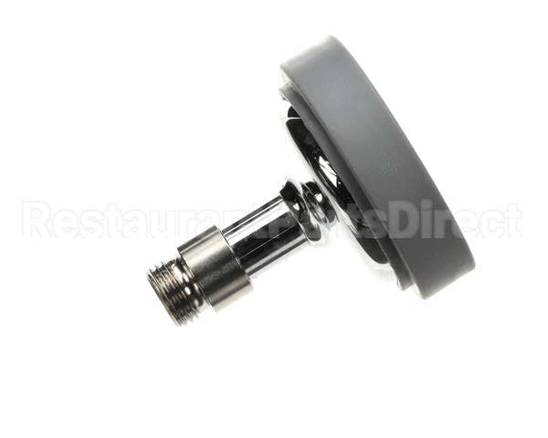 001AS T&S Brass Gray Spray Head Assembly (Epact2005 Comp