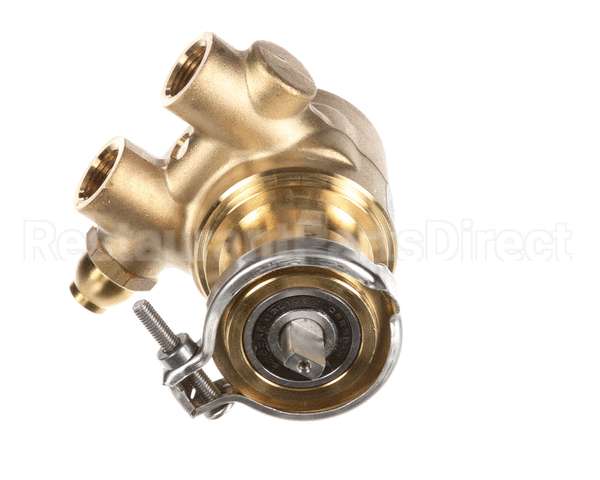 00702917 Multiplex Pump 070 Gph Brass W/170