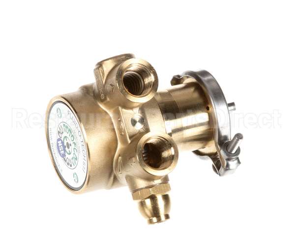 00702917 Multiplex Pump 070 Gph Brass W/170