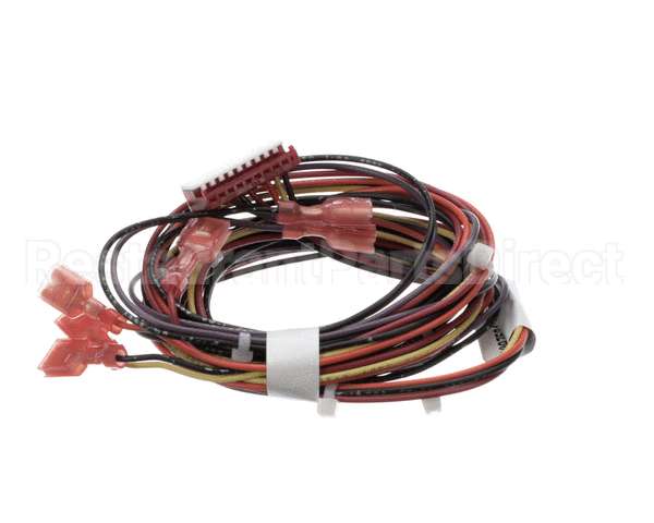 00975243 Follett Wiring, Water Sensor Assembly, Saturn