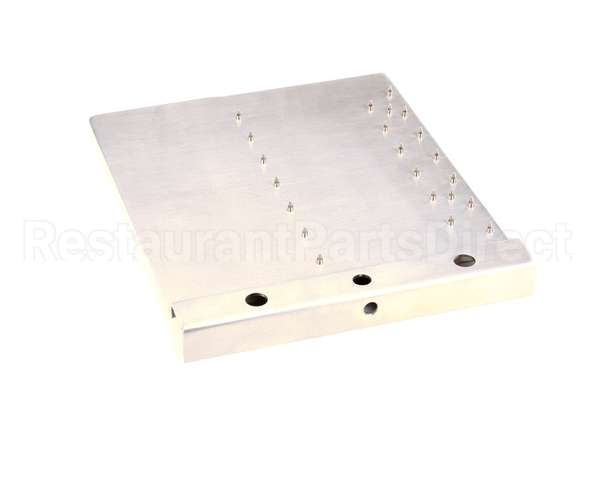 01-40300M-00065 Berkel Tray