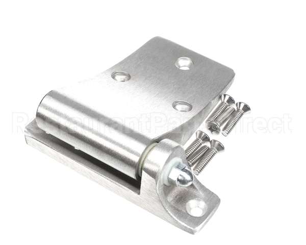 016589 Bally Hinge, Delivery Door, Lh D61/4