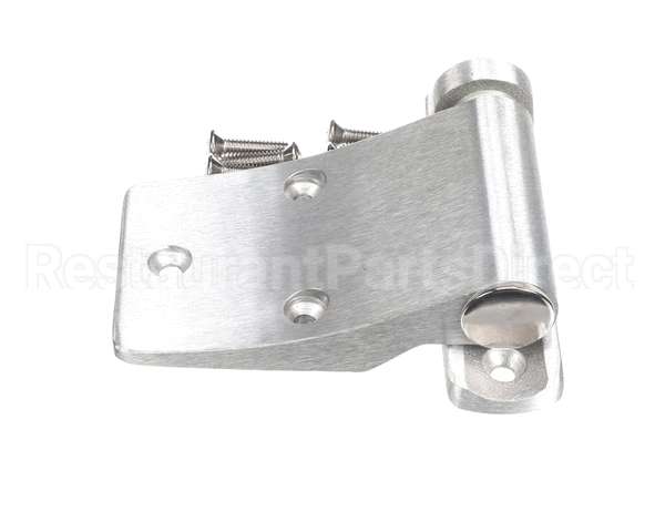 016589 Bally Hinge, Delivery Door, Lh D61/4