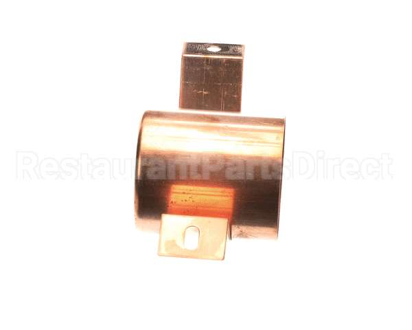 02520.0000 Bunn Overflow Cup Assembly