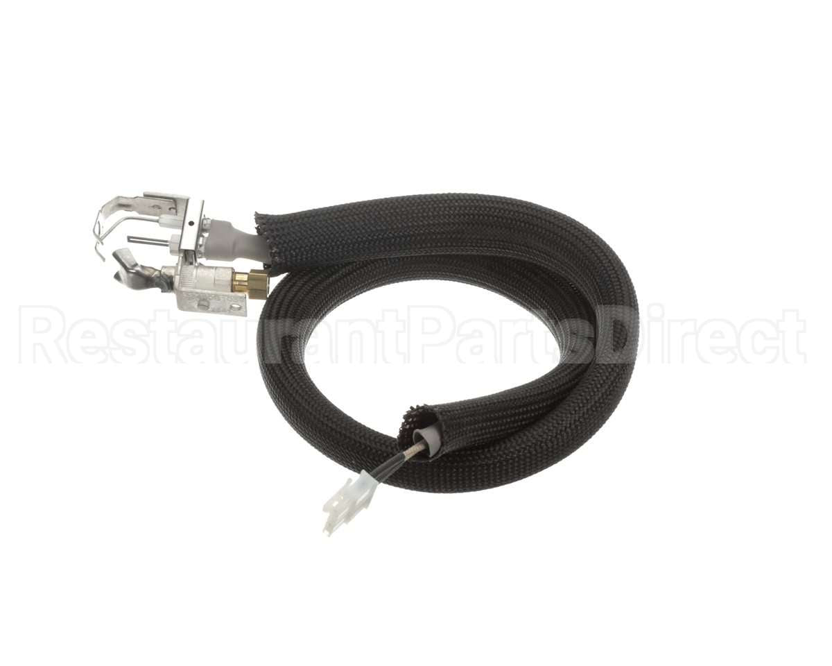0455946 Legion Pilot Burner Ignitor Sensor