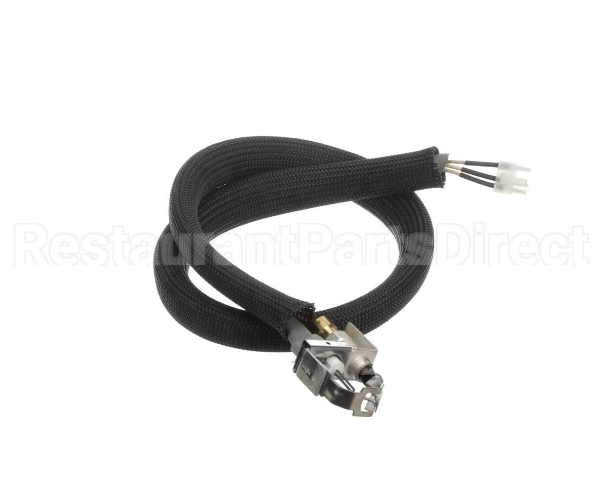0455946 Legion Pilot Burner Ignitor Sensor