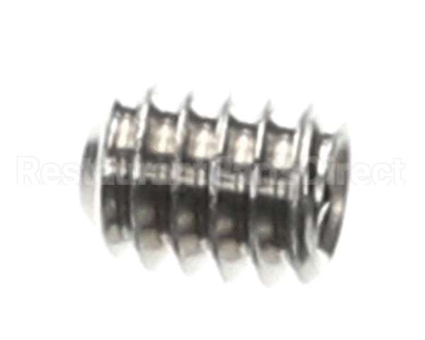 0501395 Champion - Moyer Diebel Screw, Socket 1/4-20X5/16 Ss