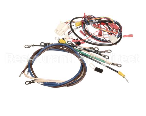 0701062 Antunes Wire Set, Rs-1000