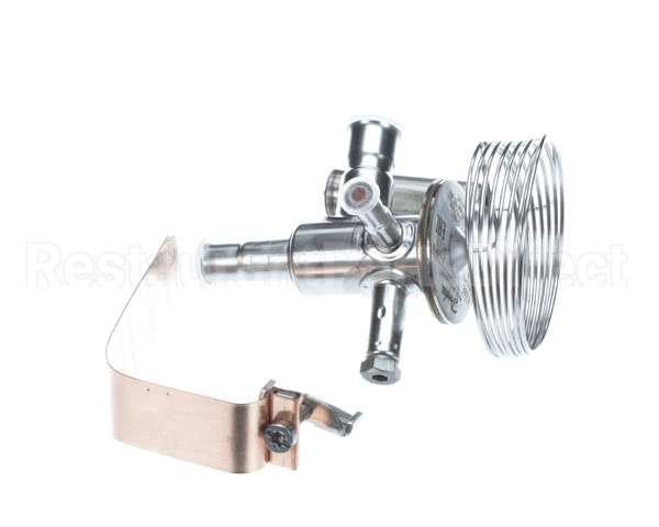 089993 Electrolux Professional Valvole