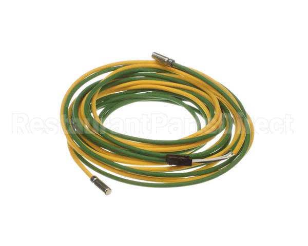 093442 Electrolux Professional Probe