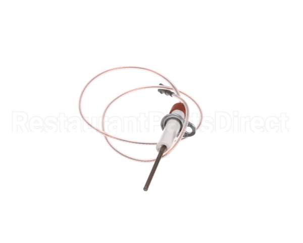 0C1049 Electrolux Professional Flame Dectection Plug