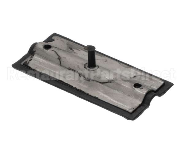 0C1169 Electrolux Professional Throttle