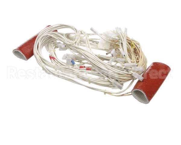 0C6035 Electrolux Professional Wiring Harness