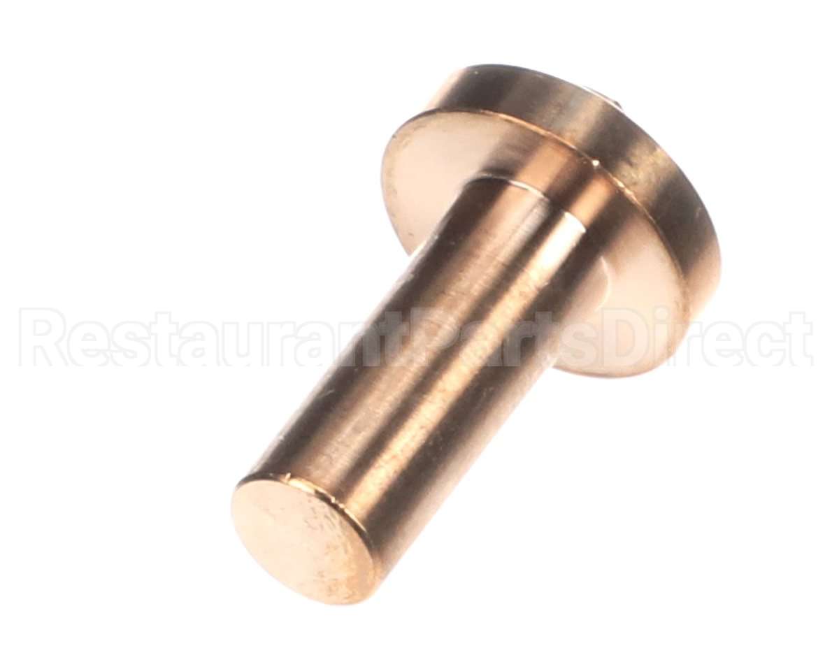 0CBAAB Electrolux Professional Door Hinge Pivot