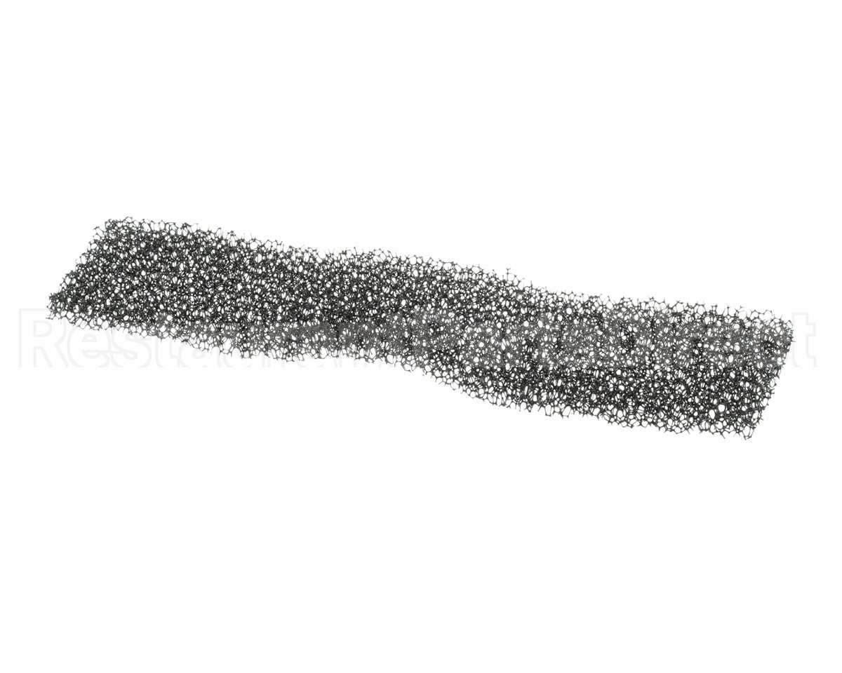 0CK494 Electrolux Professional Air Filter