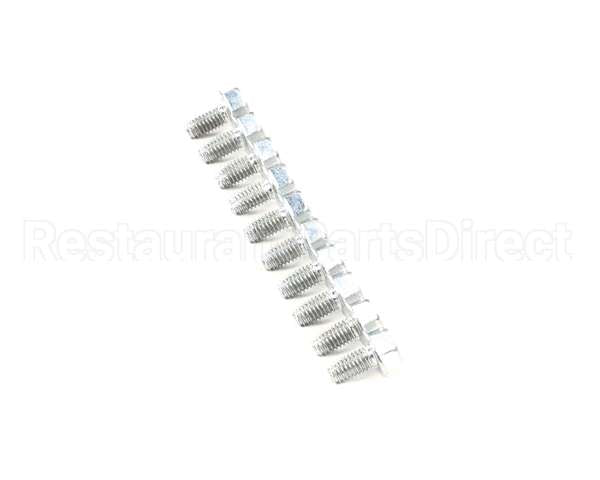 0D0551 Electrolux Professional Screw, 10 Pieces