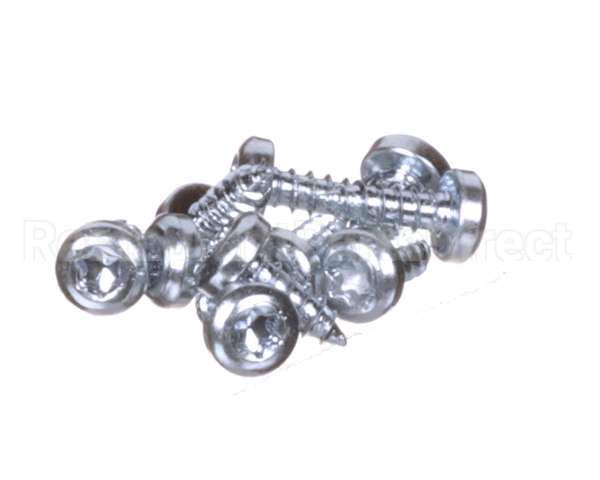 0D6250 Electrolux Professional Screw, Set 10Pcs