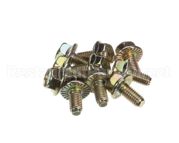 0D6786 Electrolux Professional Screw, M6X12, Set 10Pcs