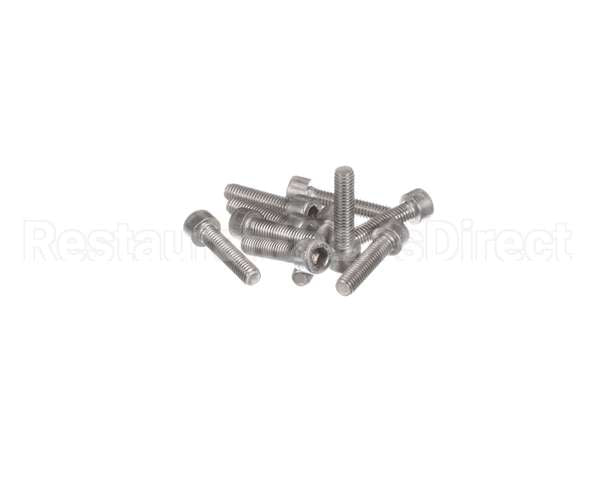 0D6985 Electrolux Professional Screw, M6X25 Inox, Set 10Pcs