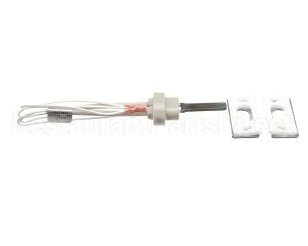 100093631 Polaris Water Heater Igniter Kit Includes:gasket Br