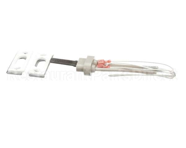 100093631 Polaris Water Heater Igniter Kit Includes:gasket Br