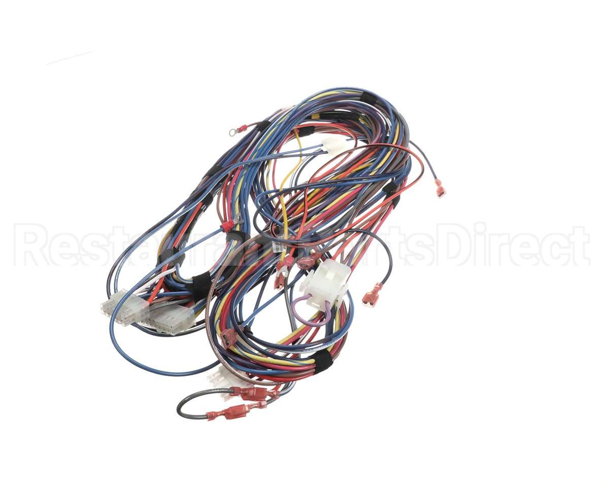 100173240 Lochinvar Harnesswire24Vpb/Pf