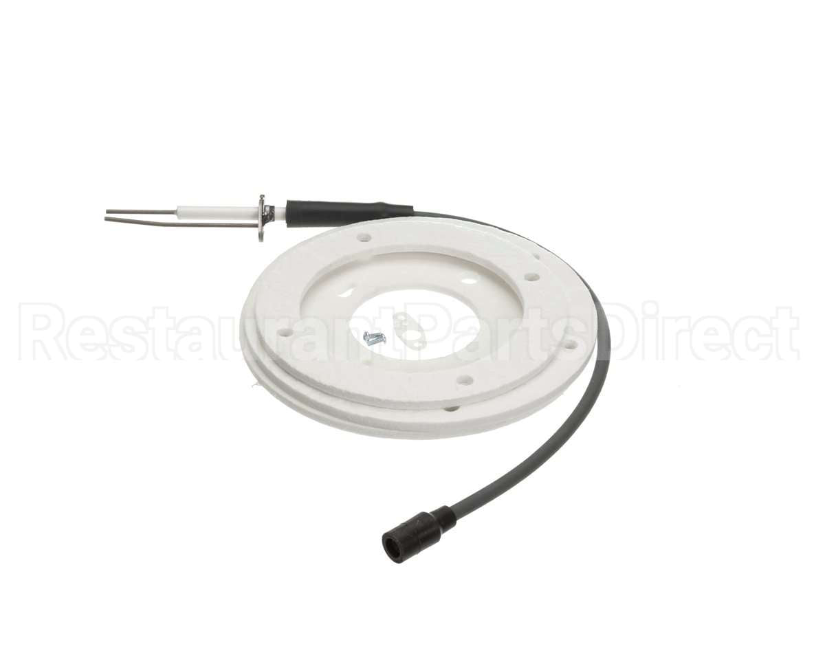 100191120 Ao Smith Water Heater Ignitor