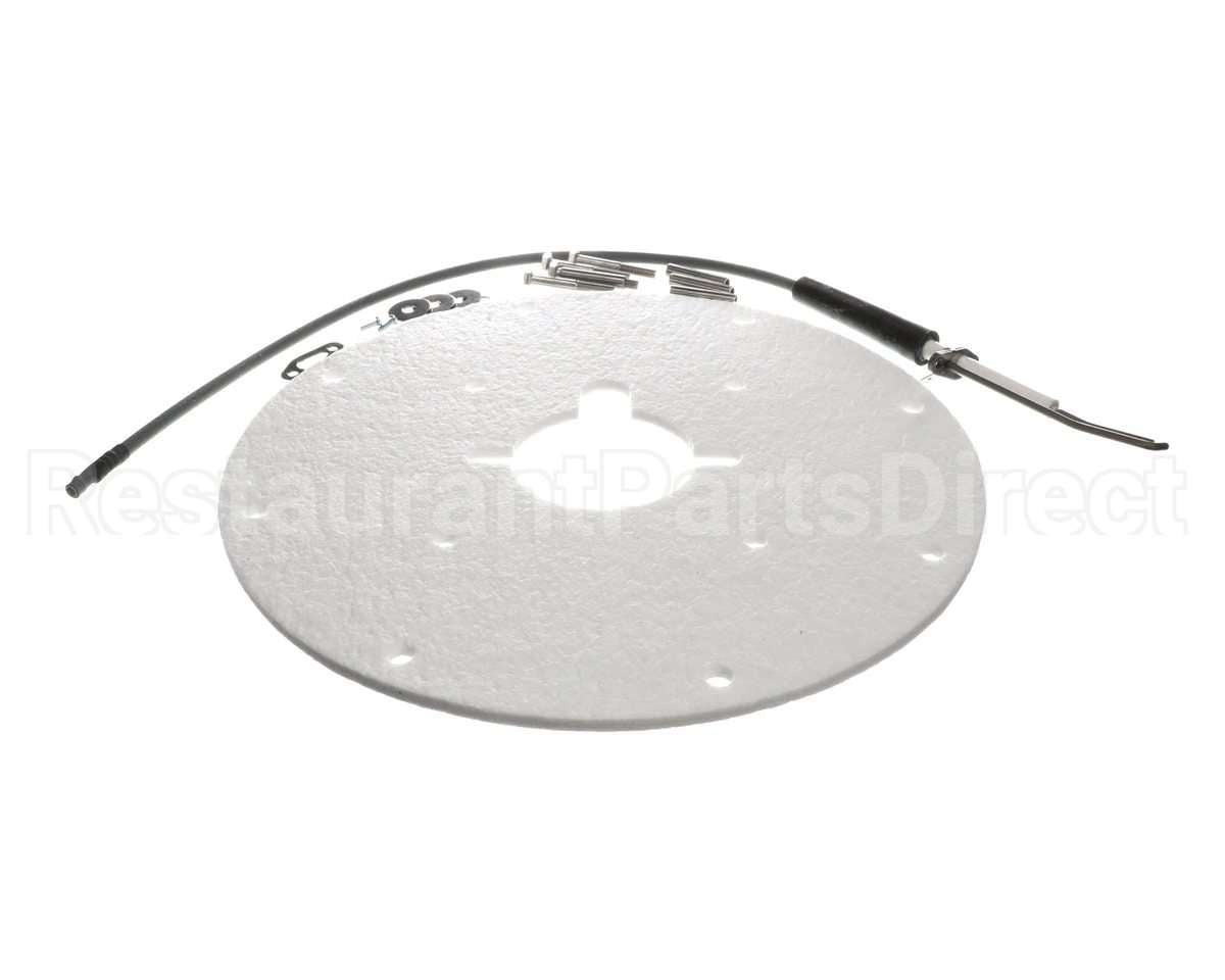 100271889 Ao Smith Water Heater K,Spark Igniter Assy(Angled)