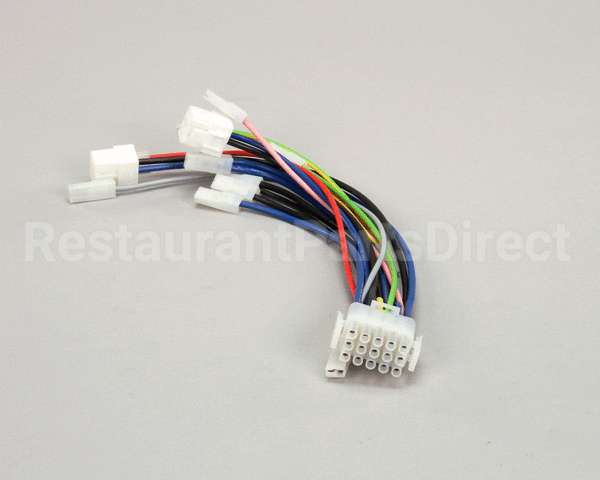 10110270 Rancilio Board Wiring De 1Gr