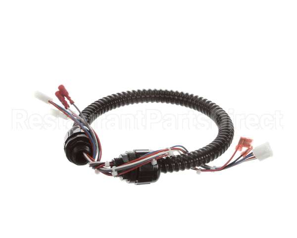 1015-V2-2 Globe Harness A3875, A3750