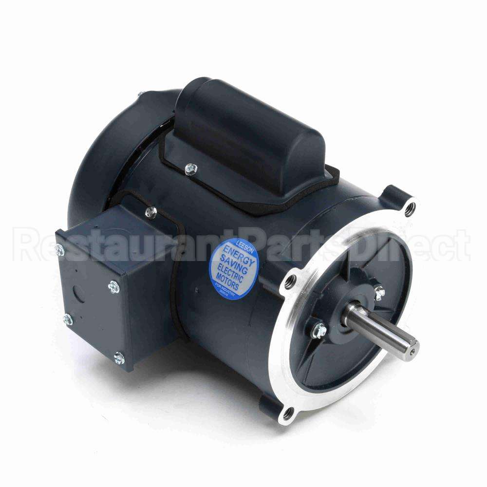 101766 Leeson Motor
