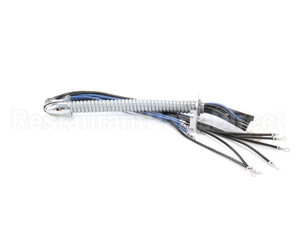 1066036SP Frymaster Harness Assembly, Re Rh Element