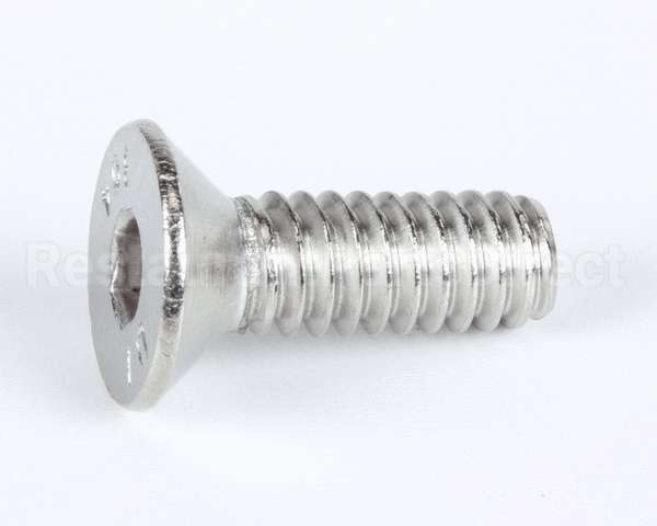 1089 Globe Screw