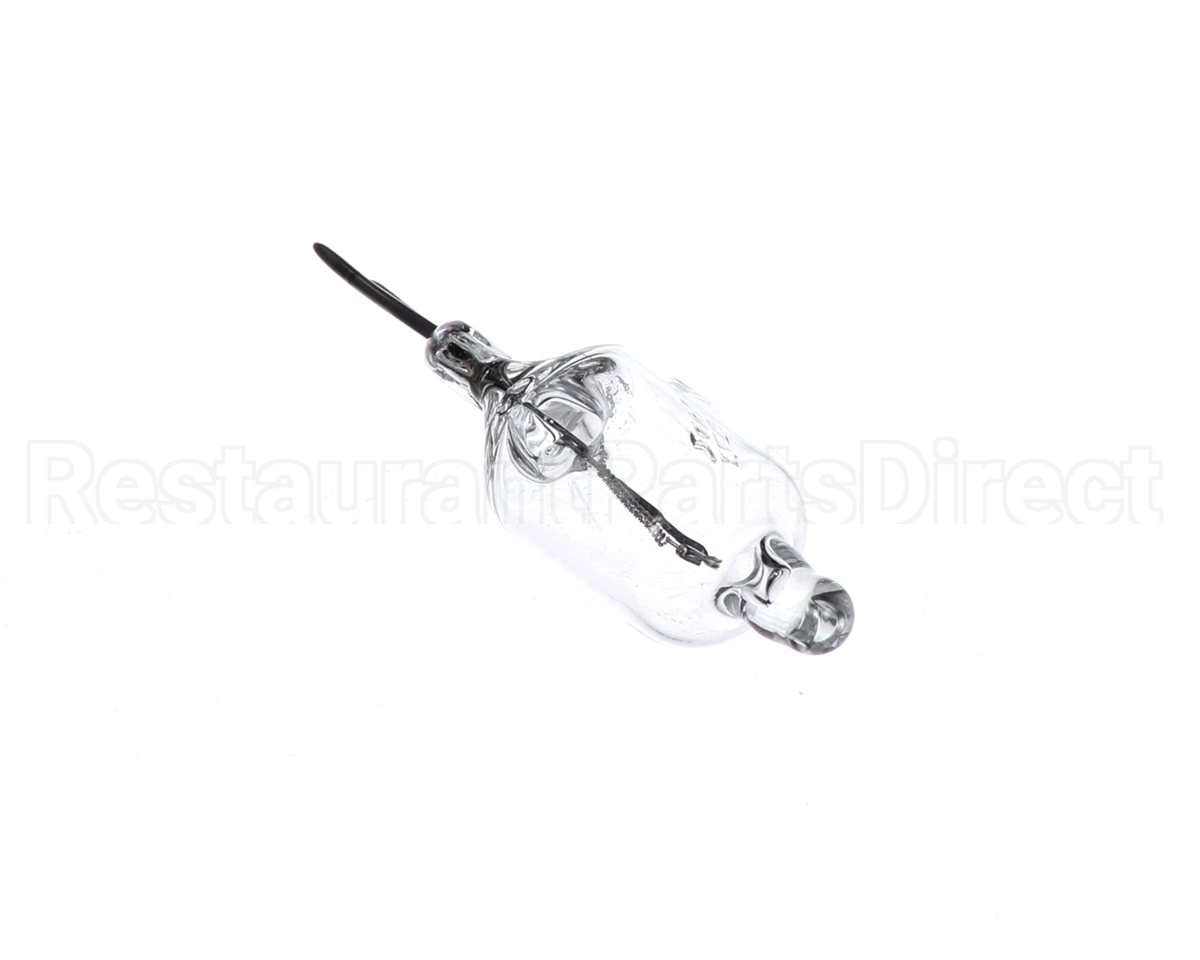 110486 Blodgett Bulb