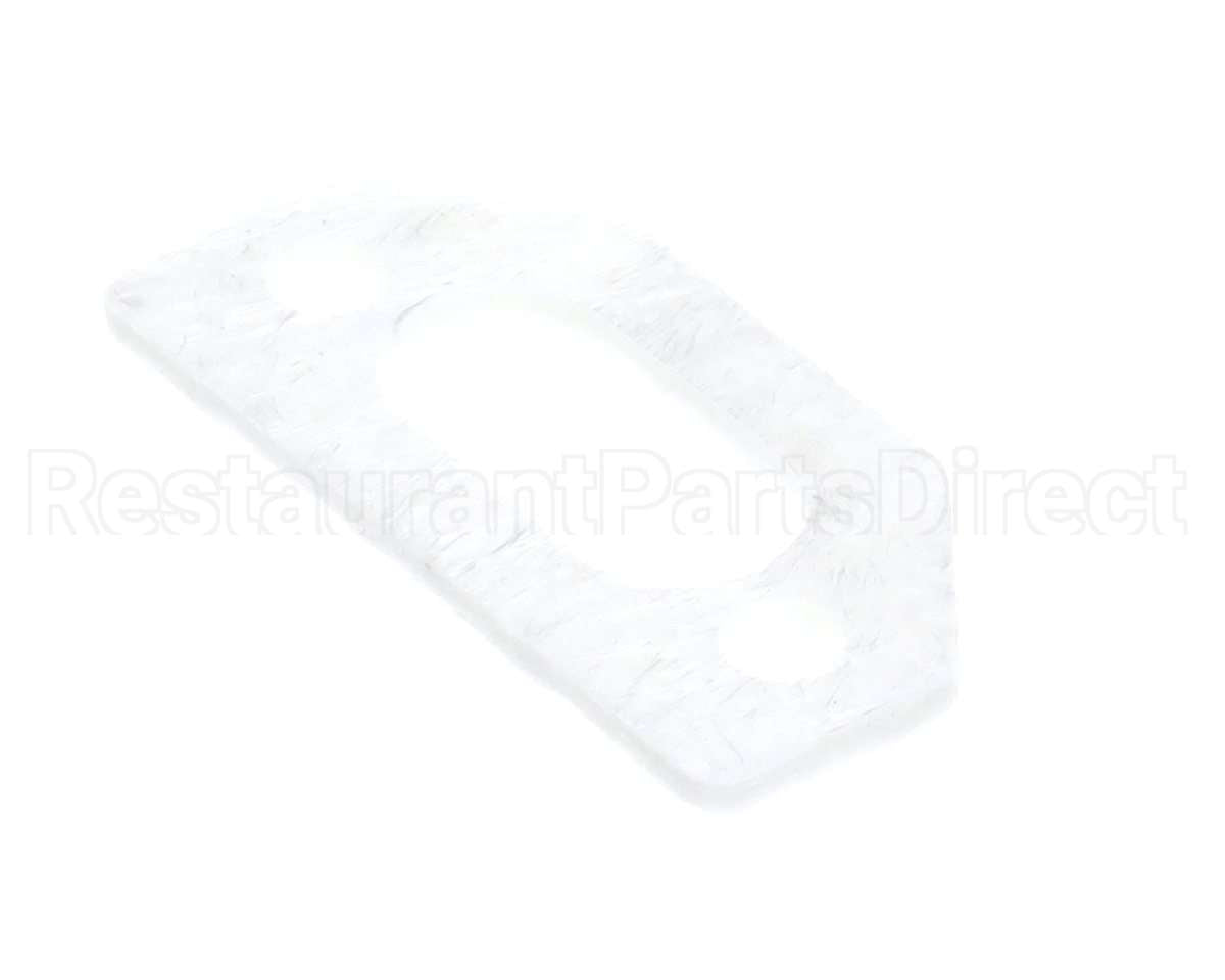 111791 Pvi Ignitor Gasket