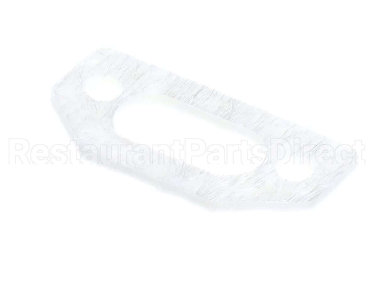 111791 Pvi Ignitor Gasket