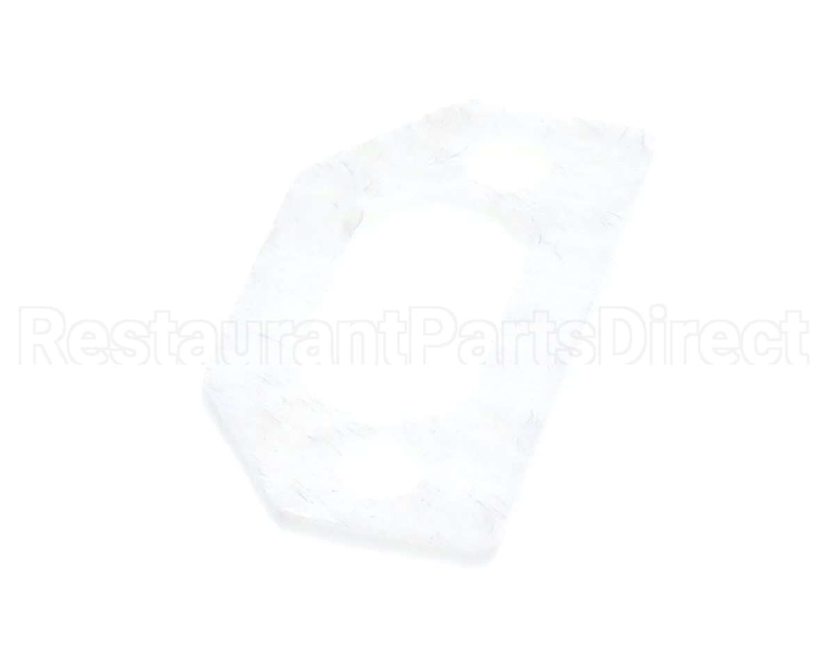 111791 Pvi Ignitor Gasket