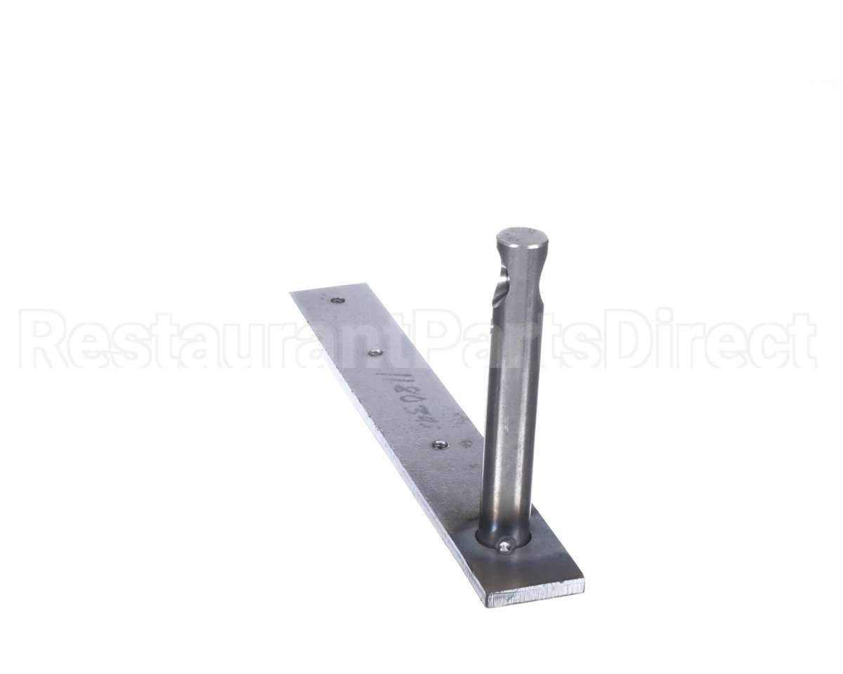 1180398 Garland Lt Door Hinge Assy