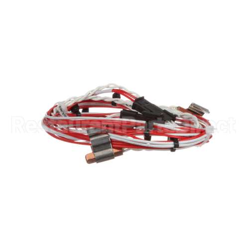 12-2059-0001 Fbd Wire Harness,Temp Sensor,Rtd