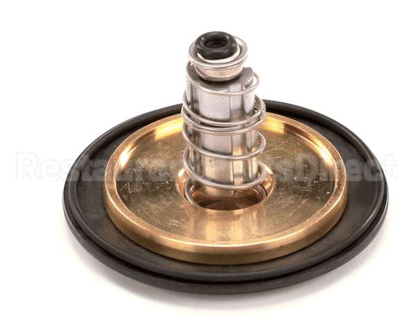 12041 Gaylord 1 Valve Repair Kit