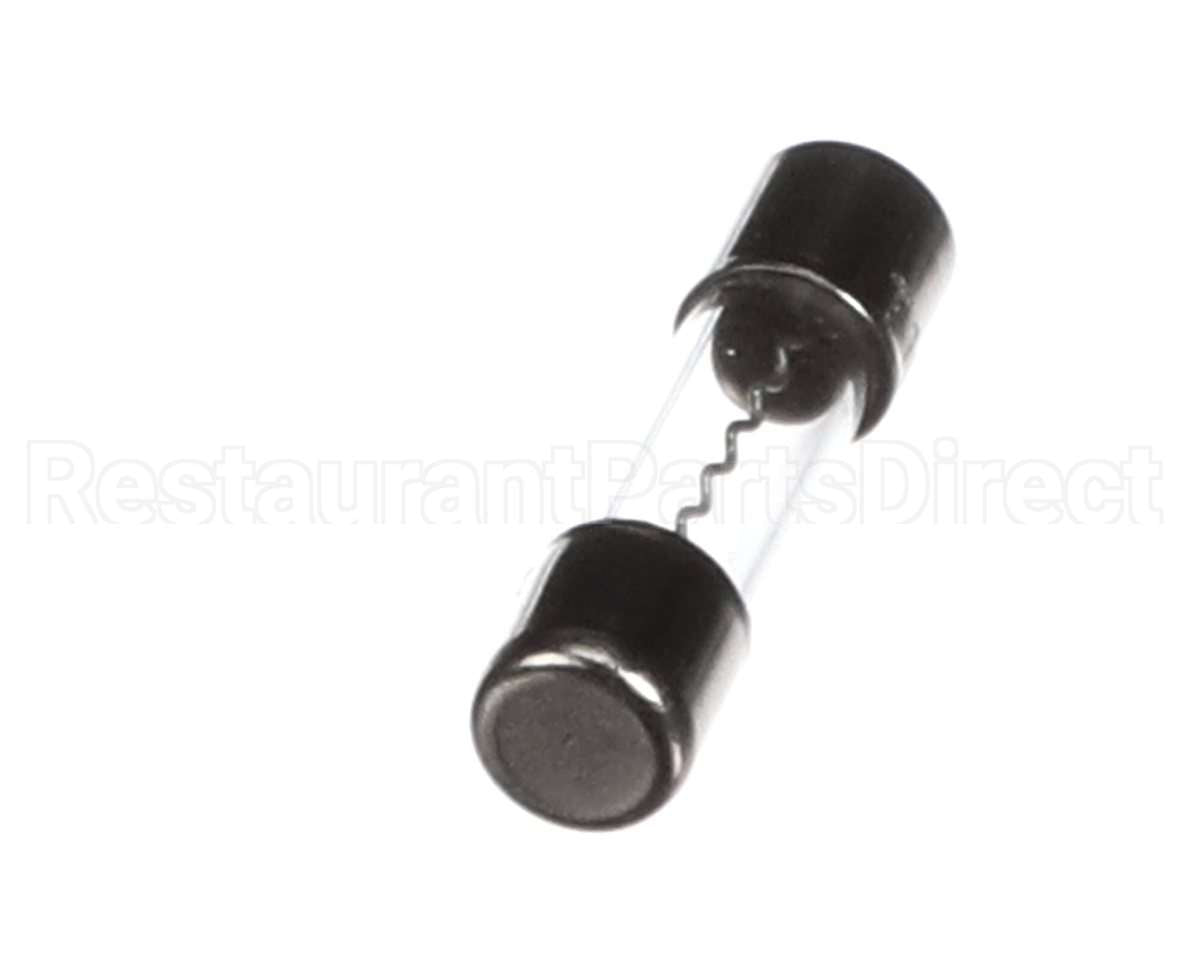 120500 Duke 10 Amp Fuse