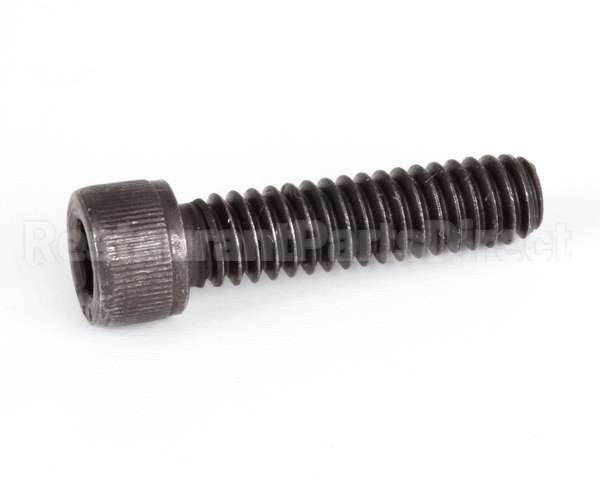 1238 Globe Screw