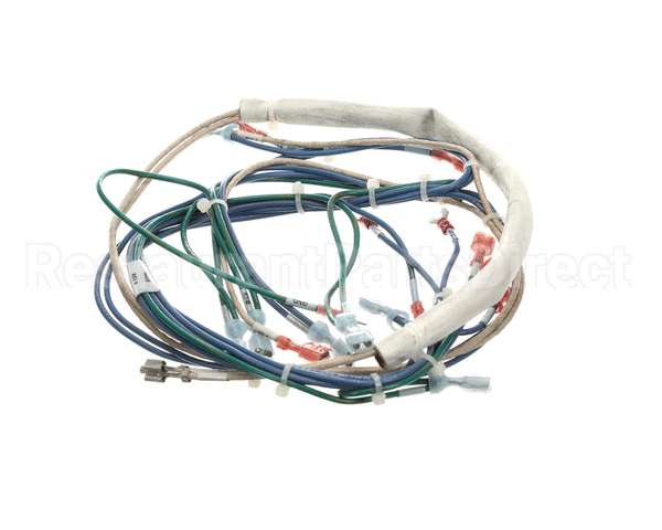 148538 Groen Wiring Harness Control, 24Volt, Bpm-40E