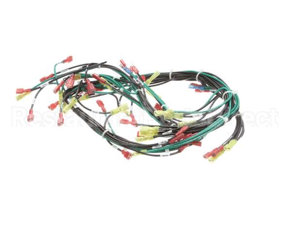 155506 Groen St-4G & St-6G W/ Float 24Vac Harness