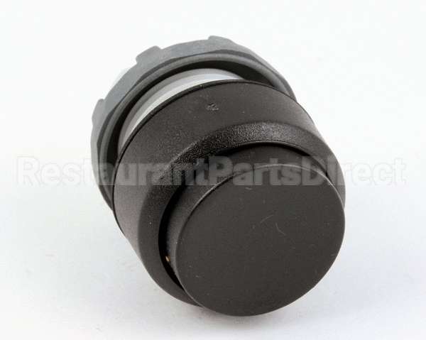 18295 Blodgett Switch, Pushbutton Momentary
