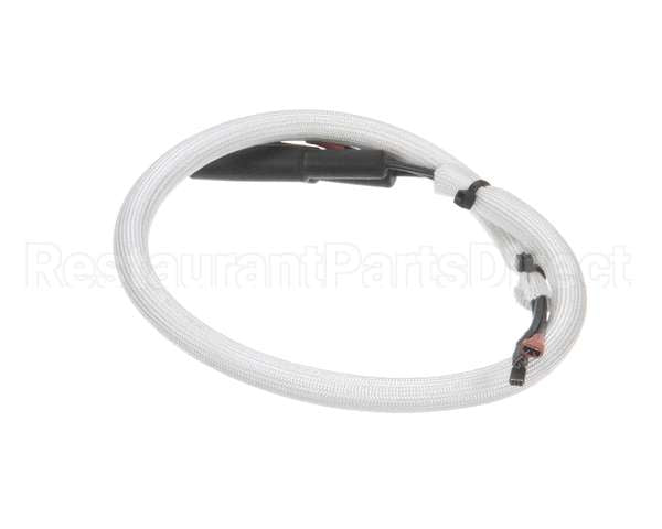 2019693 Bki Wiring, Burner Electrodes