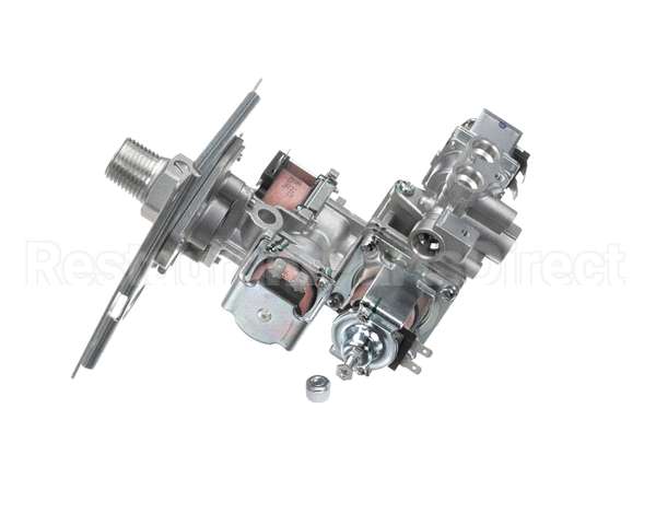 206000022 Rinnai Gas Control Assy A Es38